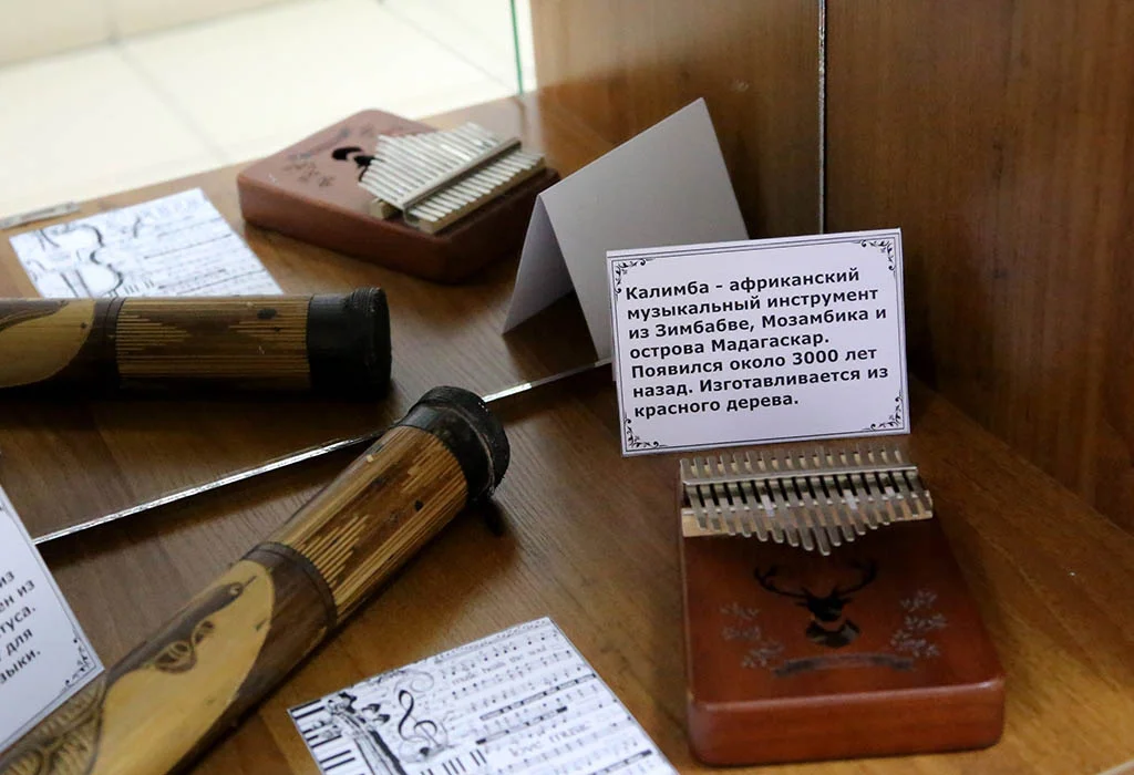 Выставка «Выбор коллекционера»: познакомьтесь с уникальными музыкальными инструментами из частной коллекции