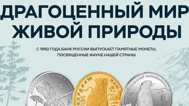 Необычная фотовыставка, посвящённая охране редких видов животных и повышению финансовой грамотности